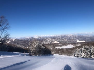 白樺高原国際スキー場に投稿された画像（2026/2/9）