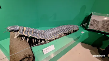 特別展「大絶滅展―生命史のビッグファイブ」に投稿された画像（2026/2/9）