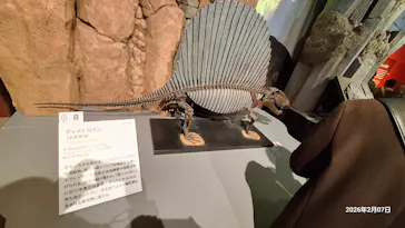 特別展「大絶滅展―生命史のビッグファイブ」に投稿された画像（2026/2/9）