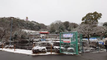 日本モンキーパークに投稿された画像（2026/2/9）