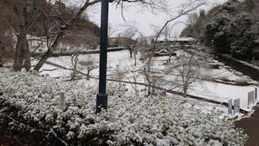 日本モンキーパークに投稿された画像（2026/2/9）