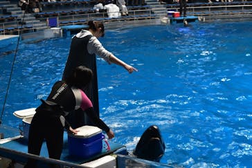 マクセル アクアパーク品川に投稿された画像（2026/2/9）