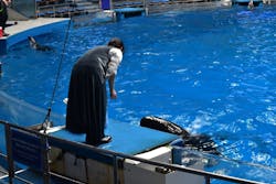 マクセル アクアパーク品川に投稿された画像（2026/2/9）