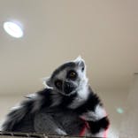 アニタッチみなとみらいに投稿された画像（2026/2/9）