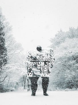 彫刻の森美術館に投稿された画像（2026/2/9）