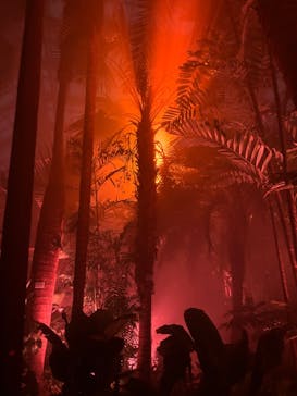 京都府立植物園　LIGHT CYCLES KYOTOに投稿された画像（2026/2/9）