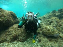 武藤潜水に投稿された画像（2026/2/9）