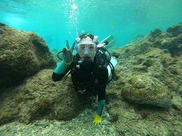 武藤潜水に投稿された画像（2026/2/9）