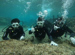 武藤潜水に投稿された画像（2026/2/9）