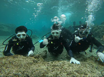 武藤潜水に投稿された画像（2026/2/9）