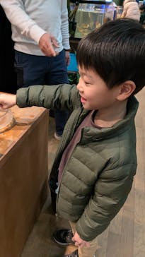 淡路ファームパーク イングランドの丘に投稿された画像（2026/2/9）