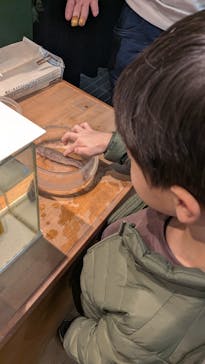 淡路ファームパーク イングランドの丘に投稿された画像（2026/2/9）