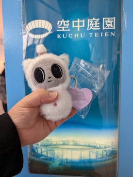 梅田スカイビル・空中庭園展望台に投稿された画像（2026/2/9）