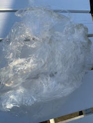 横浜・八景島シーパラダイス　プレジャーランドに投稿された画像（2026/2/9）