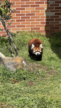 東武動物公園に投稿された画像（2025/9/18）