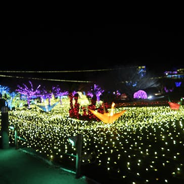 伊豆高原グランイルミに投稿された画像（2026/2/9）