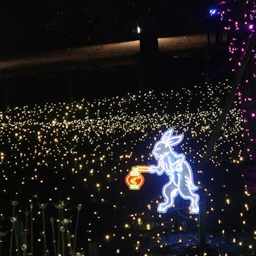 伊豆高原グランイルミに投稿された画像（2026/2/9）