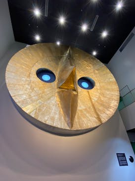 万博記念公園に投稿された画像（2026/2/9）