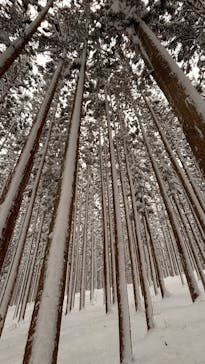 アストラル・オレンジに投稿された画像（2026/2/9）