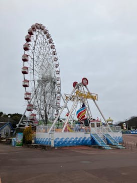 日本モンキーパークに投稿された画像（2026/2/9）