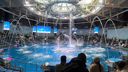 マクセル アクアパーク品川に投稿された画像（2026/2/9）