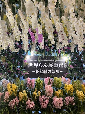 世界らん展2026-花と緑の祭典-に投稿された画像（2026/2/9）