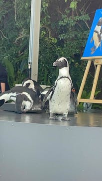 マクセル アクアパーク品川に投稿された画像（2026/2/9）