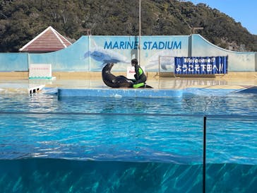 下田海中水族館に投稿された画像（2026/2/9）