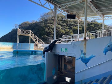 下田海中水族館に投稿された画像（2026/2/9）