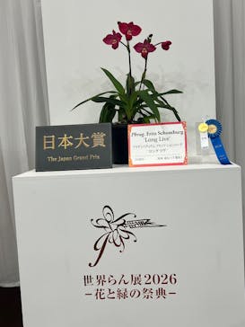世界らん展2026-花と緑の祭典-に投稿された画像（2026/2/9）