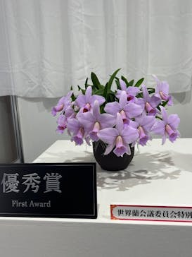 世界らん展2026-花と緑の祭典-に投稿された画像（2026/2/9）