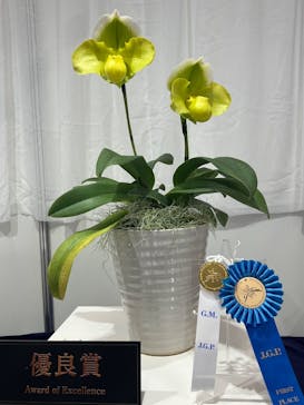 世界らん展2026-花と緑の祭典-に投稿された画像（2026/2/9）