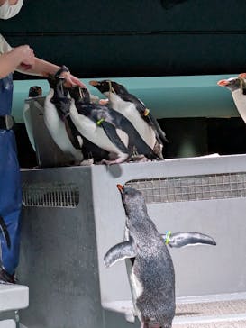 AOAO SAPPOROに投稿された画像（2026/2/9）