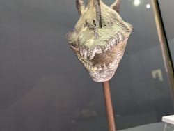 鋸山美術館に投稿された画像（2026/2/9）