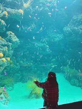 環境水族館アクアマリンふくしまに投稿された画像（2026/2/9）