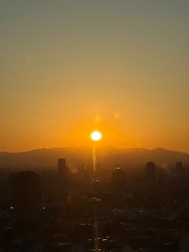 東京タワーに投稿された画像（2026/2/9）