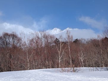 リトルピークスに投稿された画像（2026/2/9）