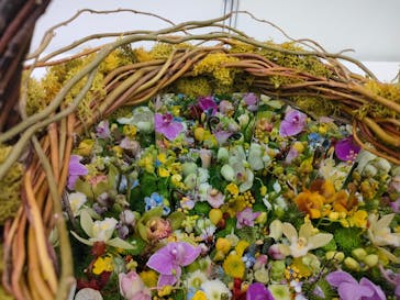 世界らん展2026-花と緑の祭典-に投稿された画像（2026/2/10）