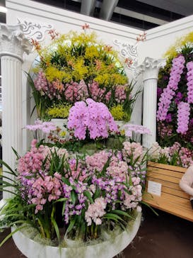 世界らん展2026-花と緑の祭典-に投稿された画像（2026/2/10）