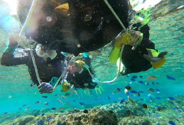 武藤潜水に投稿された画像（2026/2/10）