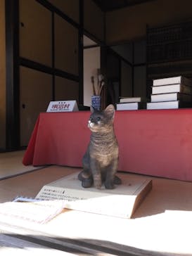 博物館 明治村に投稿された画像（2026/2/10）