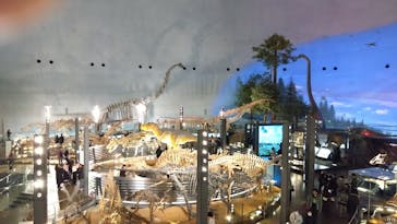 福井県立恐竜博物館に投稿された画像（2026/2/10）