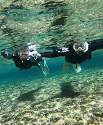 武藤潜水に投稿された画像（2026/2/10）