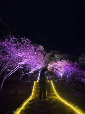 今帰仁城跡に投稿された画像（2026/2/10）