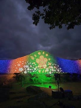 今帰仁城跡に投稿された画像（2026/2/10）