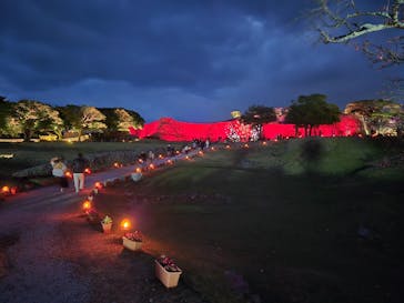 今帰仁城跡に投稿された画像（2026/2/10）