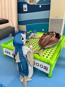 伊豆・三津シーパラダイスに投稿された画像（2026/2/10）