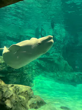 名古屋港水族館に投稿された画像（2026/2/10）
