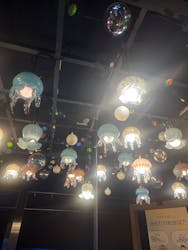 すみだ水族館に投稿された画像（2026/2/10）