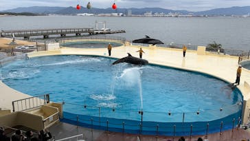 マリンワールド海の中道に投稿された画像（2026/2/10）